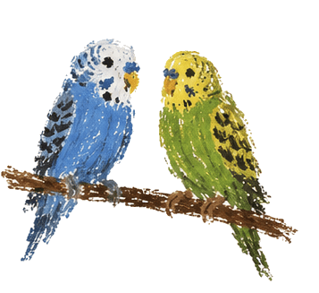 Vögel