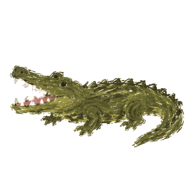 Krokodile