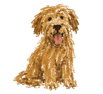Hunde