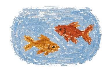 Aquarienfische