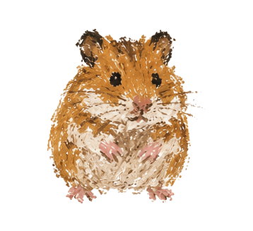 Hamster
