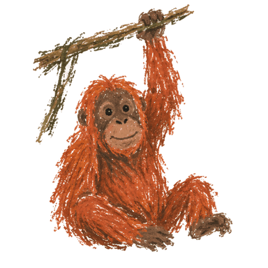 Orang-Utans